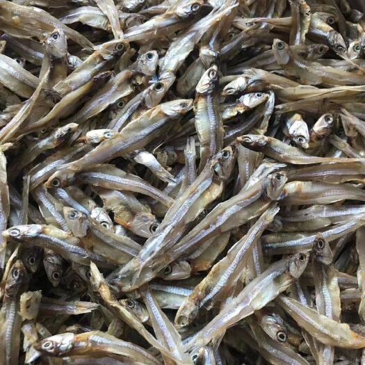 广州银鱼干  深海小鱼干，是你可以信赖和选择的好产品， 质量保证