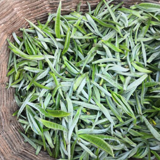 景谷县自有茶地，可提供白茶，滇红鲜叶…………