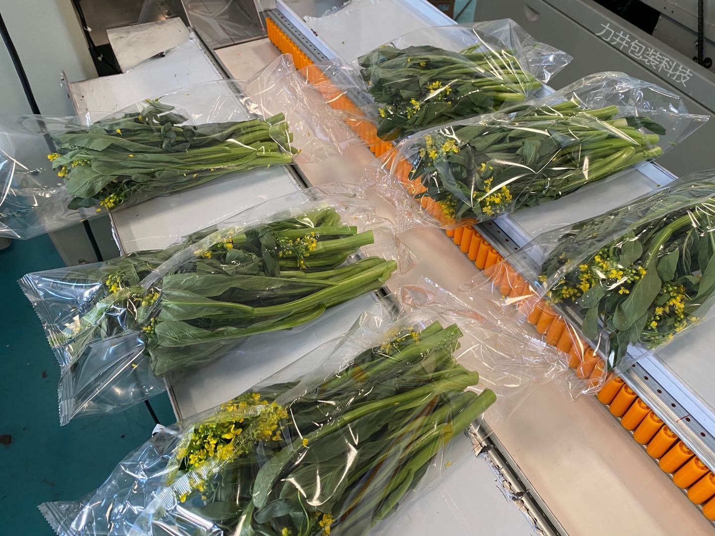 袋装蔬菜水果包装机 全自动化食品机械 自动打包机全国供应