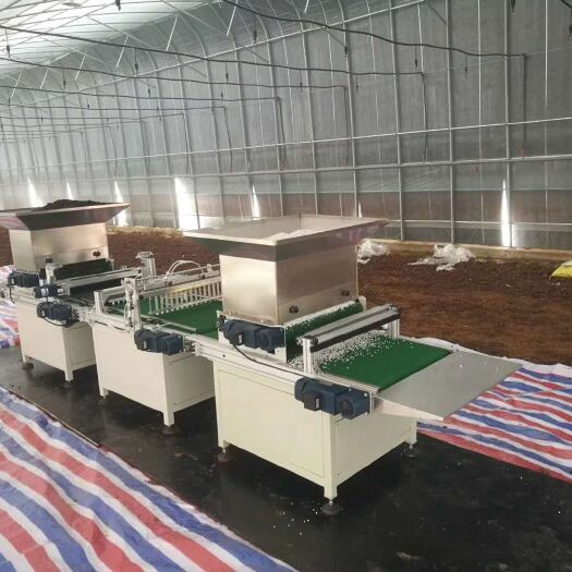 鹤壁 针吸式穴盘播种机，精准率高，可实现单双粒及多粒的播种要求