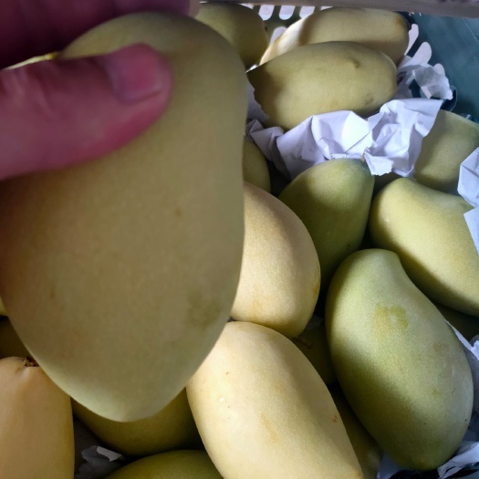 凭祥市高乐蜜 工厂直接供应
