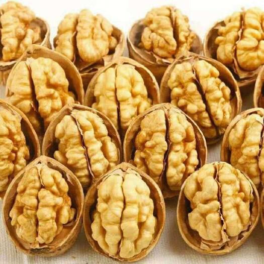 乌什县新疆薄皮核桃坚果薄皮大核桃原味干核桃送夹子包邮整箱批发