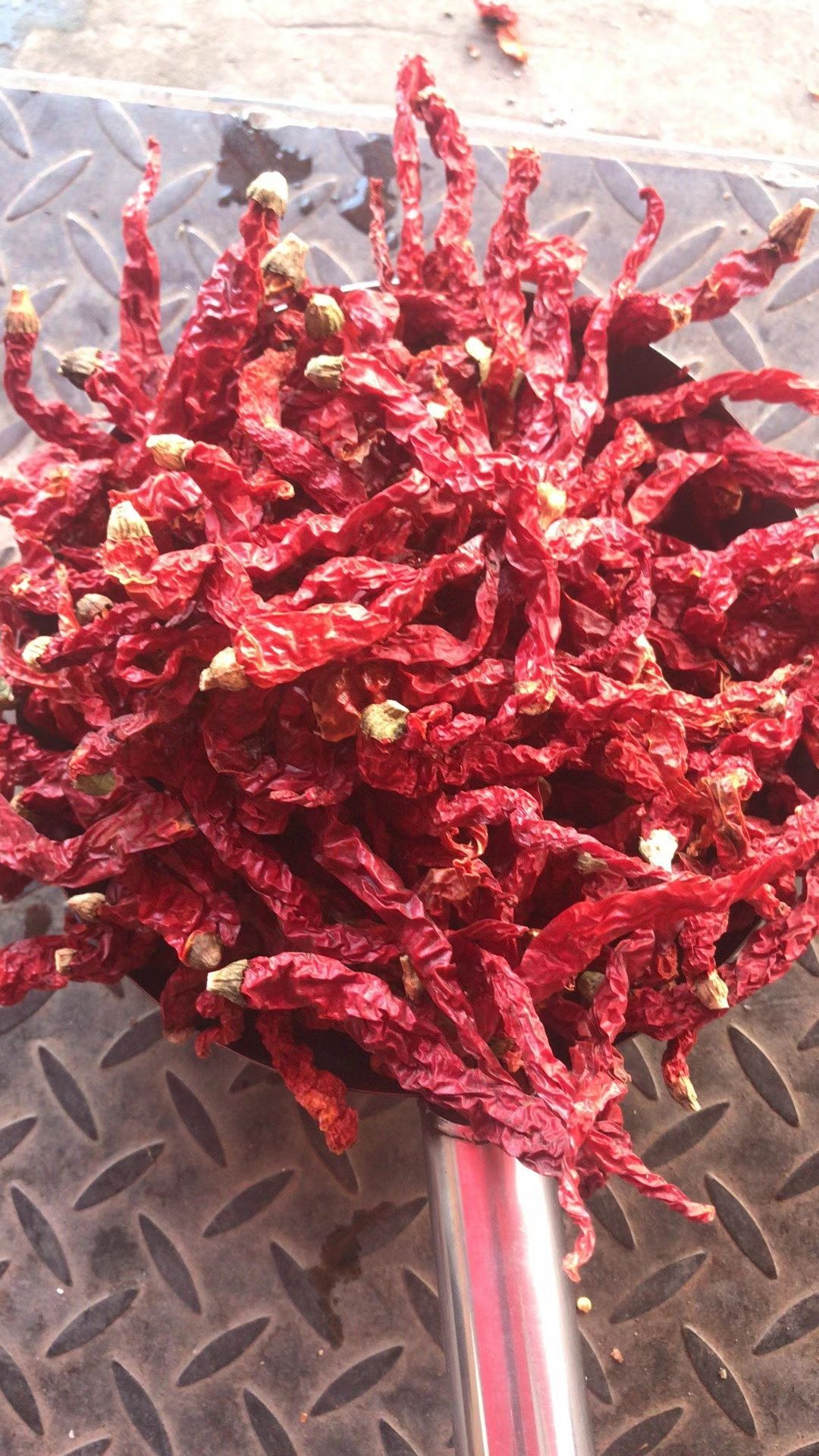 皱皮椒  线椒 新疆纵椒 香味好 红油效果佳 特香特辣 产地直销