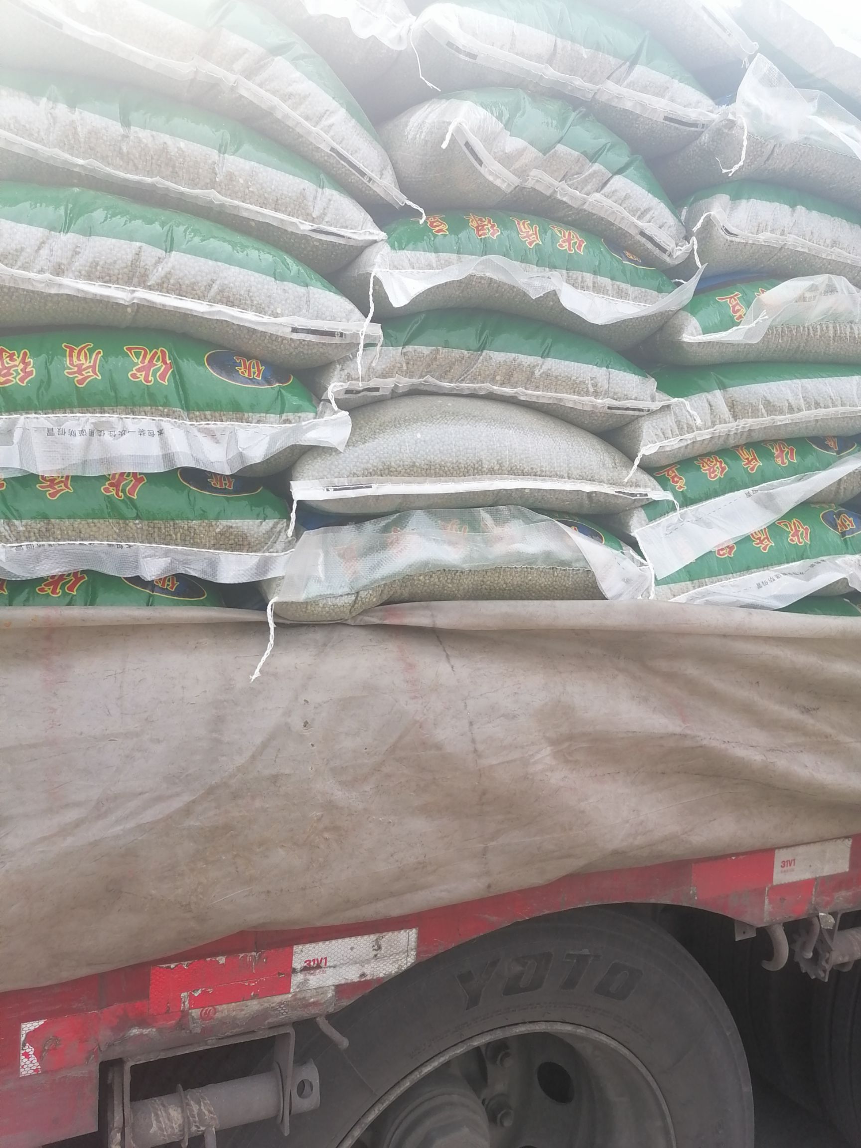 一手货源供应绿豆白芸豆红腰豆白糖及白糖配额玉米配额