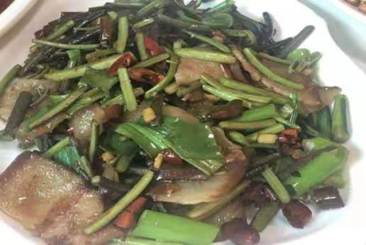 蕨菜，高山蕨菜