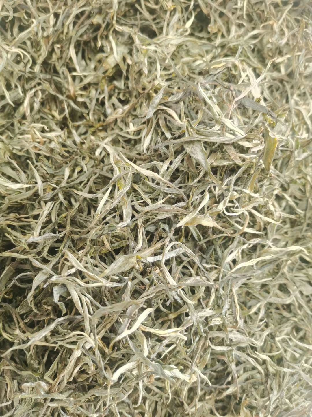 采摘工 户丫一牙一叶，价格不高，口感不错