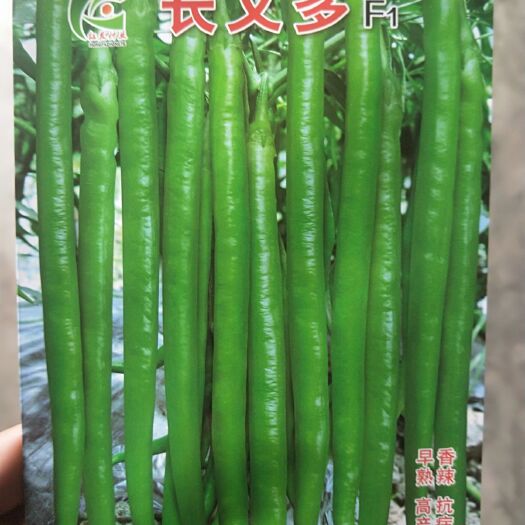 夏邑县长又多 早熟，香辣，高产抗病，商品性好