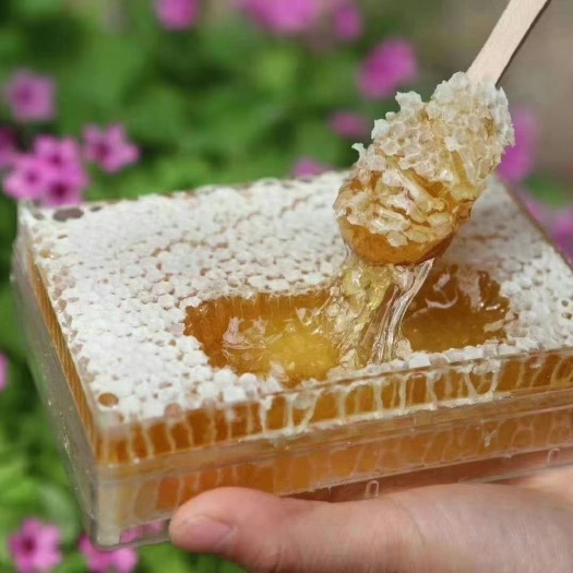 成都蜂蜜 农家蜂巢蜜 口感纯正可以嚼着吃 现割现卖