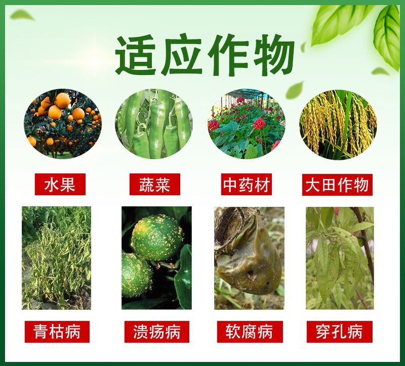 枯草芽孢杆菌微生物菌肥400亿/克微生物菌剂调理改良土壤根腐