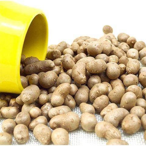 原产地新鲜铁棍山药豆5斤/2斤2500g农家自种手捡豆