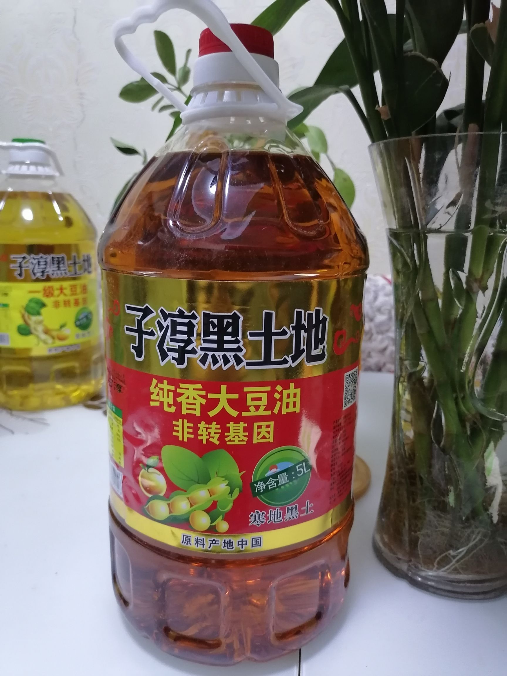 哈尔滨大豆油  黑土地5升非转基因，一级色拉油和纯香豆油全国招商