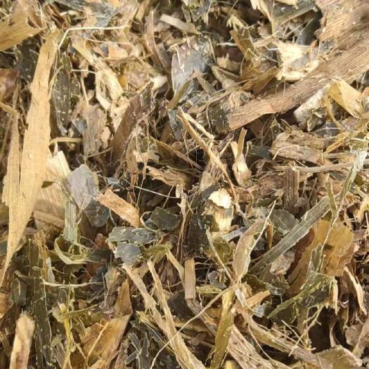 泊头市青储草 玉米秸秆黄储