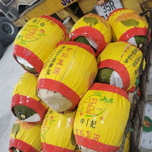 东兴市越南红肉菠萝蜜中妃自主品牌