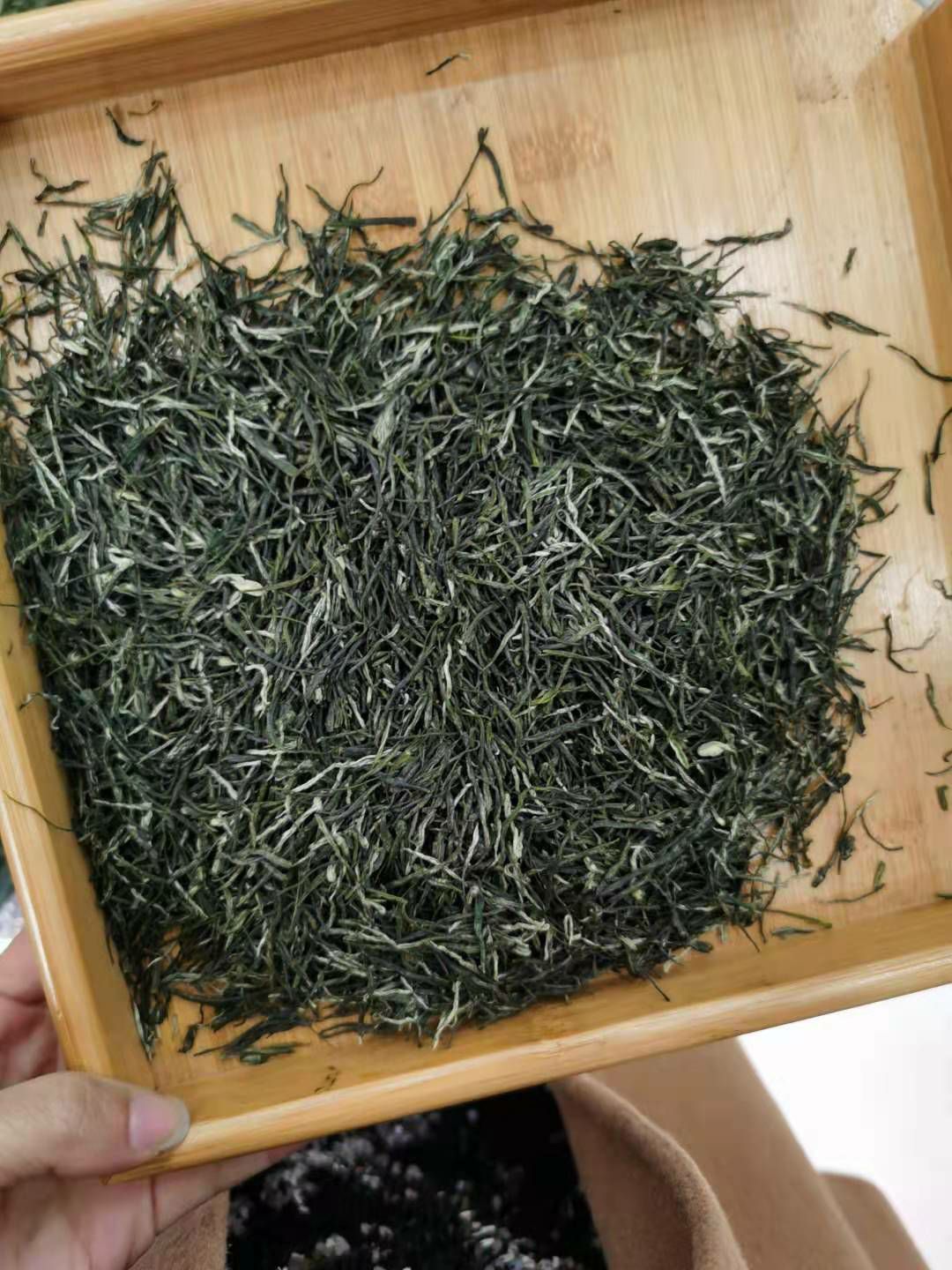 毛尖茶 太平溪，春分，口粮茶！