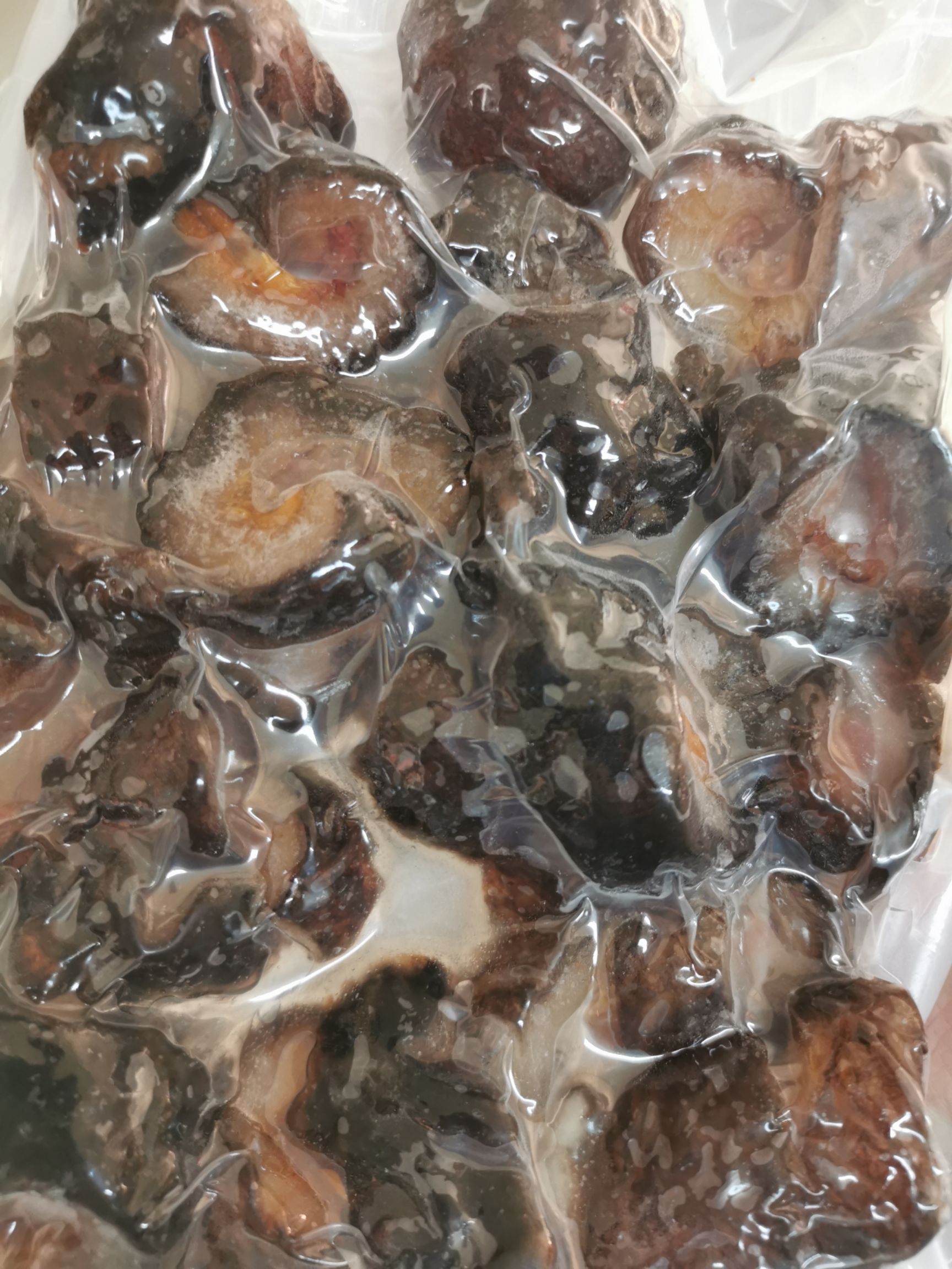  冰岛红极参