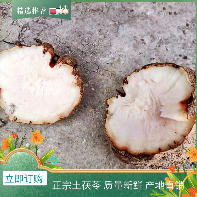 筠连县土茯苓 产地四川宜宾，一手货源，量大从优
