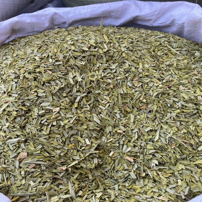 铁树叶  新鲜干货 纯叶无梗 干净无杂  另有白花舌草半枝莲