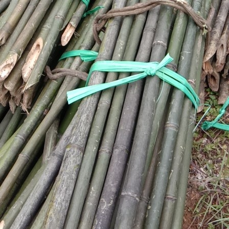 桂阳县水竹，麻竹