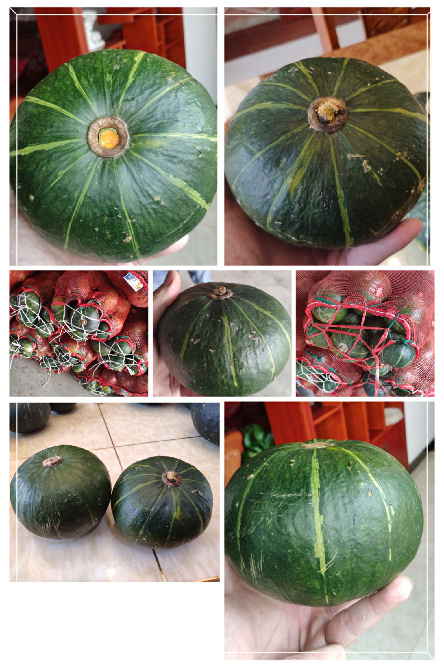 黑金刚南瓜(嫰瓜)