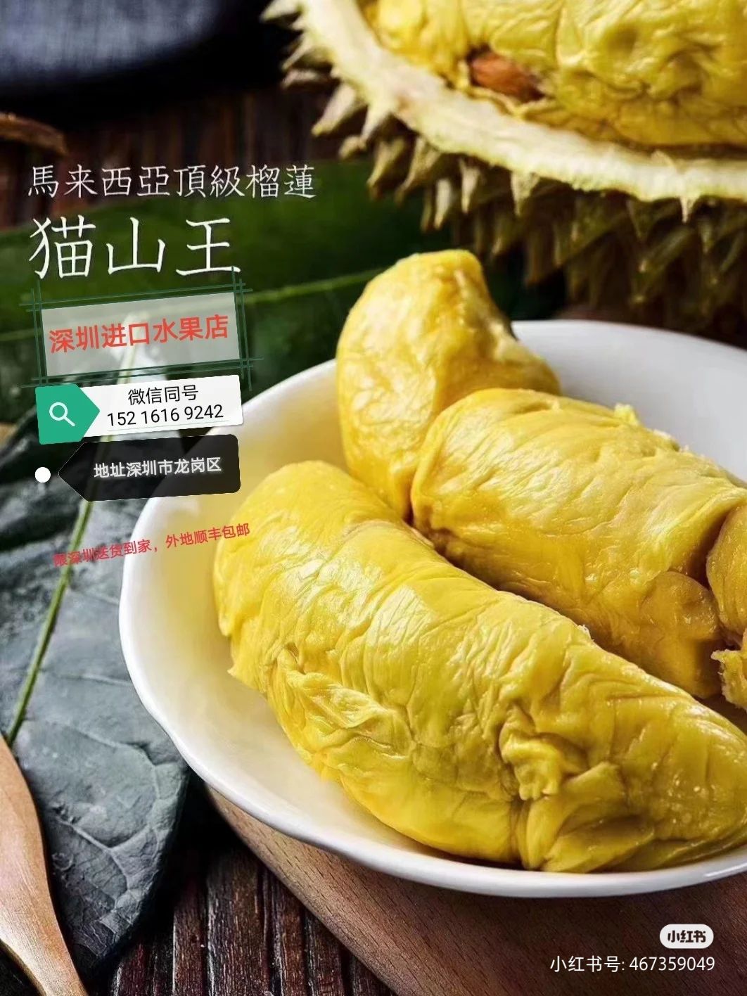 正宗猫山王榴莲 猫山王榴莲深圳专卖店