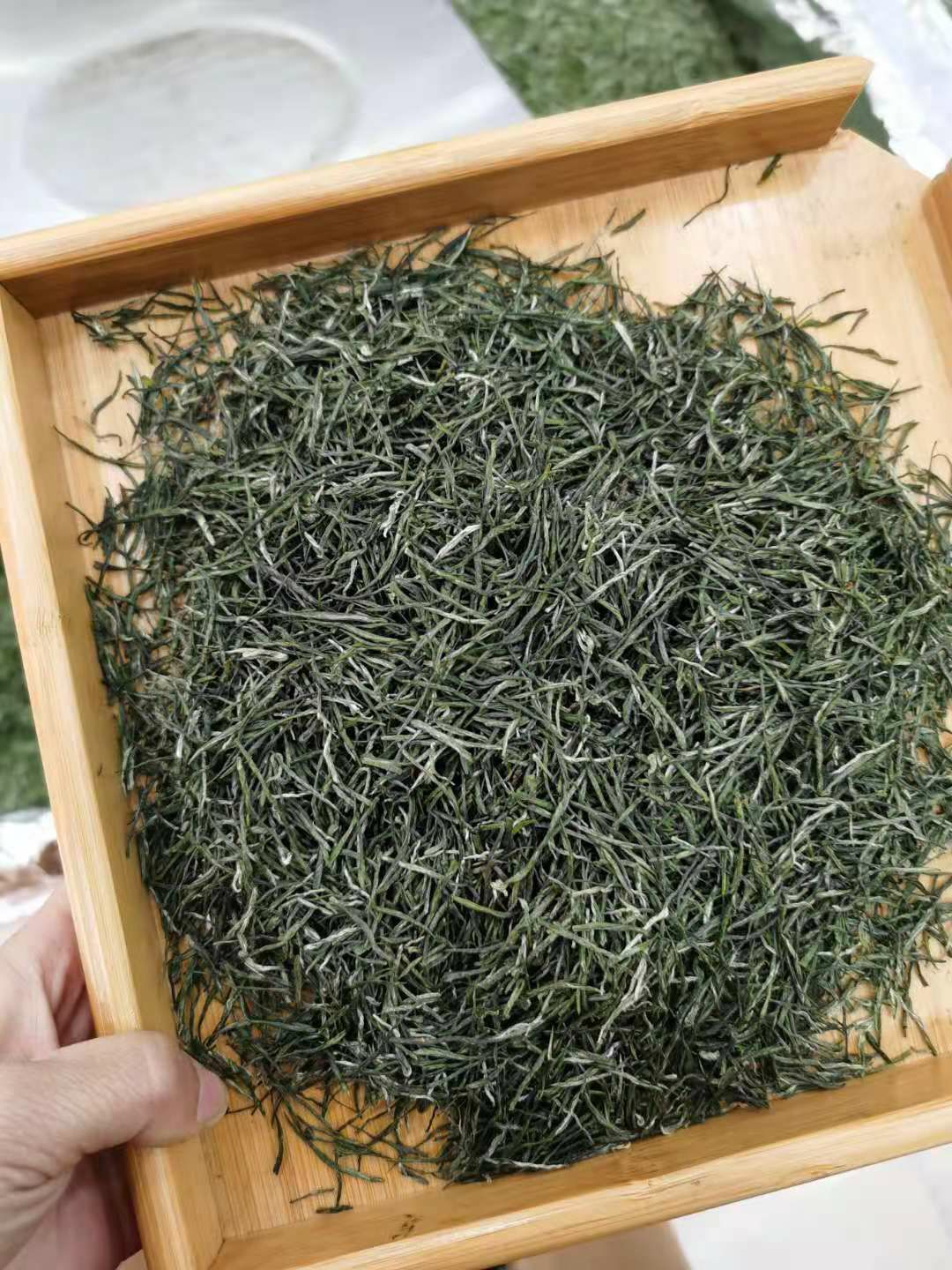 毛尖茶 太平溪，春分，口粮茶！