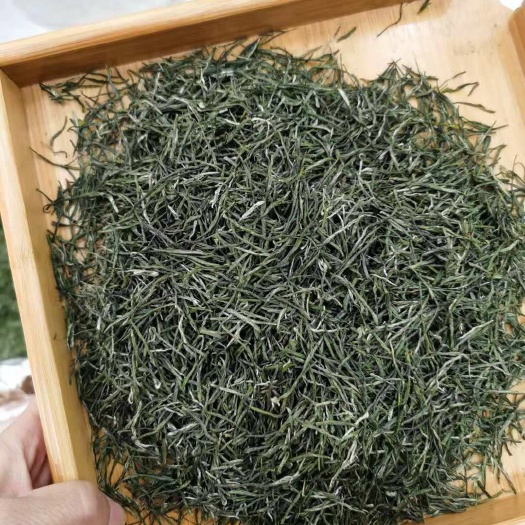宜昌毛尖茶 太平溪，春分，口粮茶！