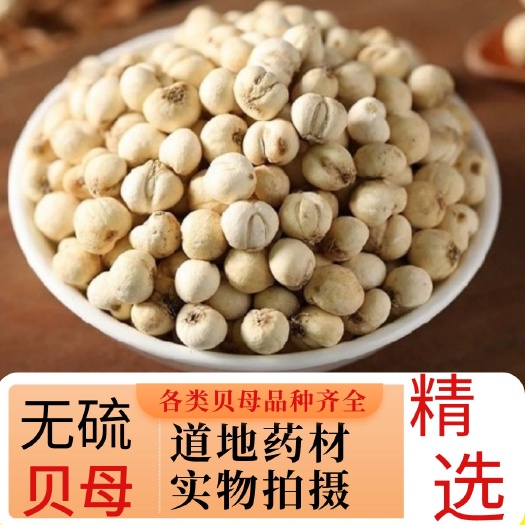 亳州川贝母特级精选平贝川贝精品贝母直销各种品类齐全