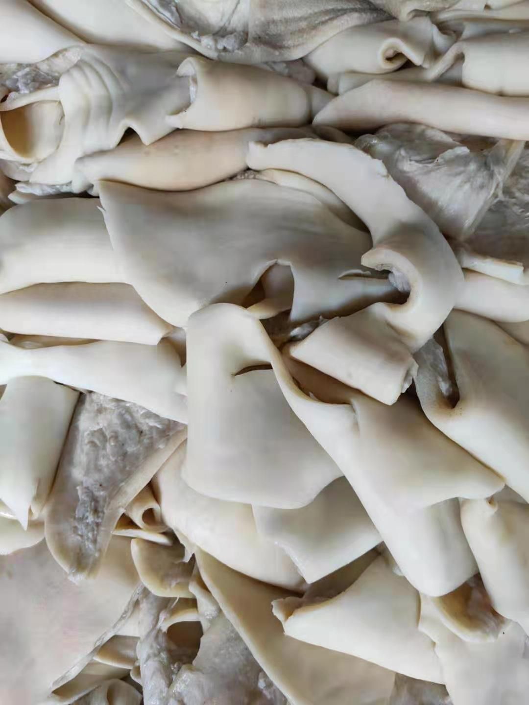 牛皮  牛腿皮