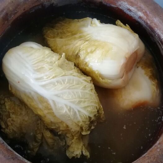 天津酸菜  无盐酸白菜大缸腌制