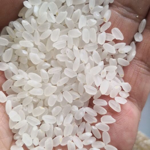 东北大米珍珠米 甄选延边好米 颗粒饱满 晶莹剔透