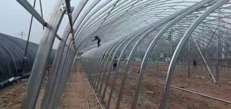 大棚骨架 