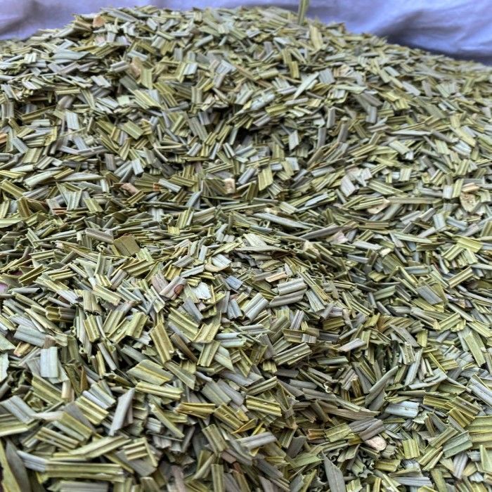铁树叶  新鲜干货 纯叶无梗 干净无杂  另有白花舌草半枝莲