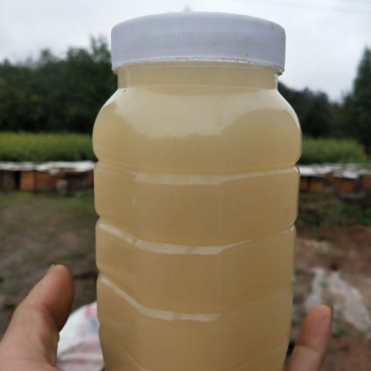 忠县 油菜蜜