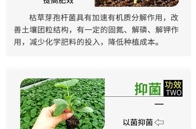 枯草芽孢杆菌绿色生态有机种植**杀菌剂农业种植专用