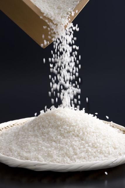 稻花香  产地发货，2021年新大米价格便宜质量好，量大优惠长期合作