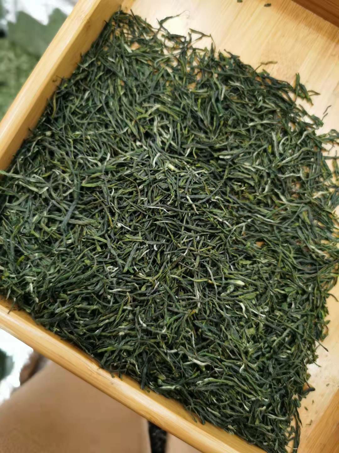 毛尖茶 太平溪，春分，口粮茶！