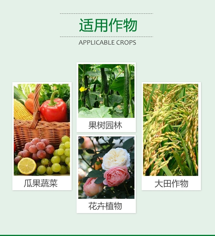  凯强5％甲氨基阿维菌素苯甲酸盐甜菜夜蛾钻心虫草地贪夜蛾杀虫剂