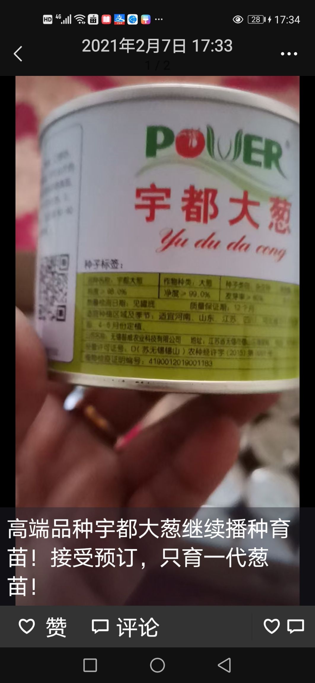 铁杆大葱苗  品种齐全，抗病毒，抗旱涝，产量高，易出售