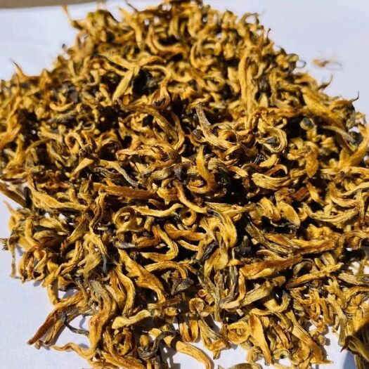高密市滇红金芽 有机蜜香金芽，甜度高，润度好
