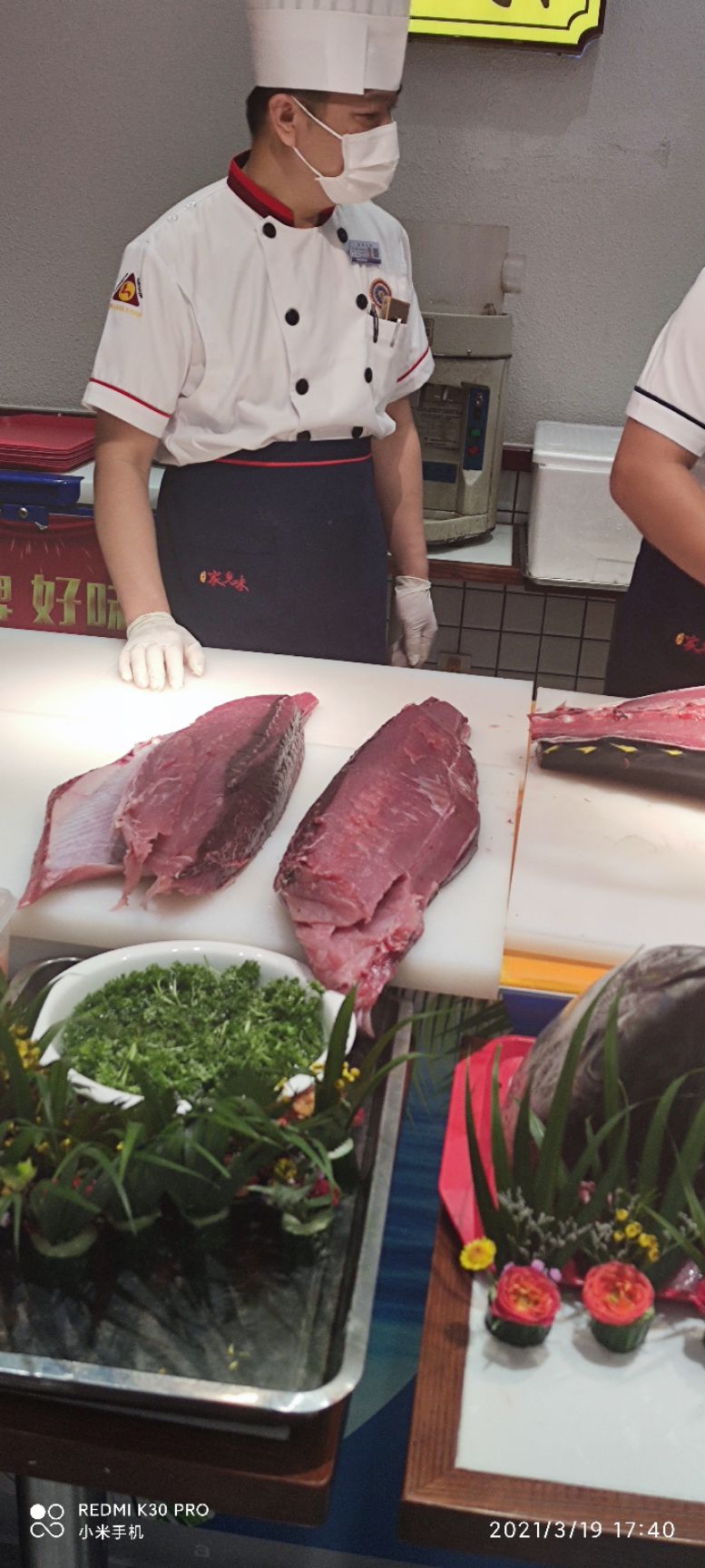 南沙钓口黄鳍金枪鱼