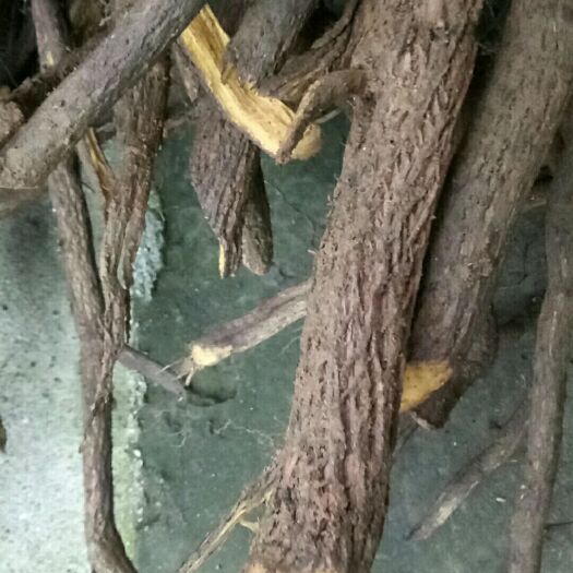 宜丰县铁包金，统货纯根，