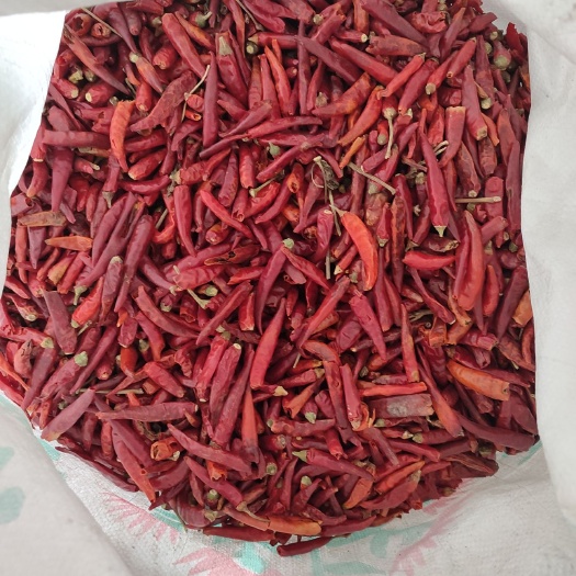 金乡县天宇干辣椒 大量干辣椒，花皮出售，新疆大面积种植户