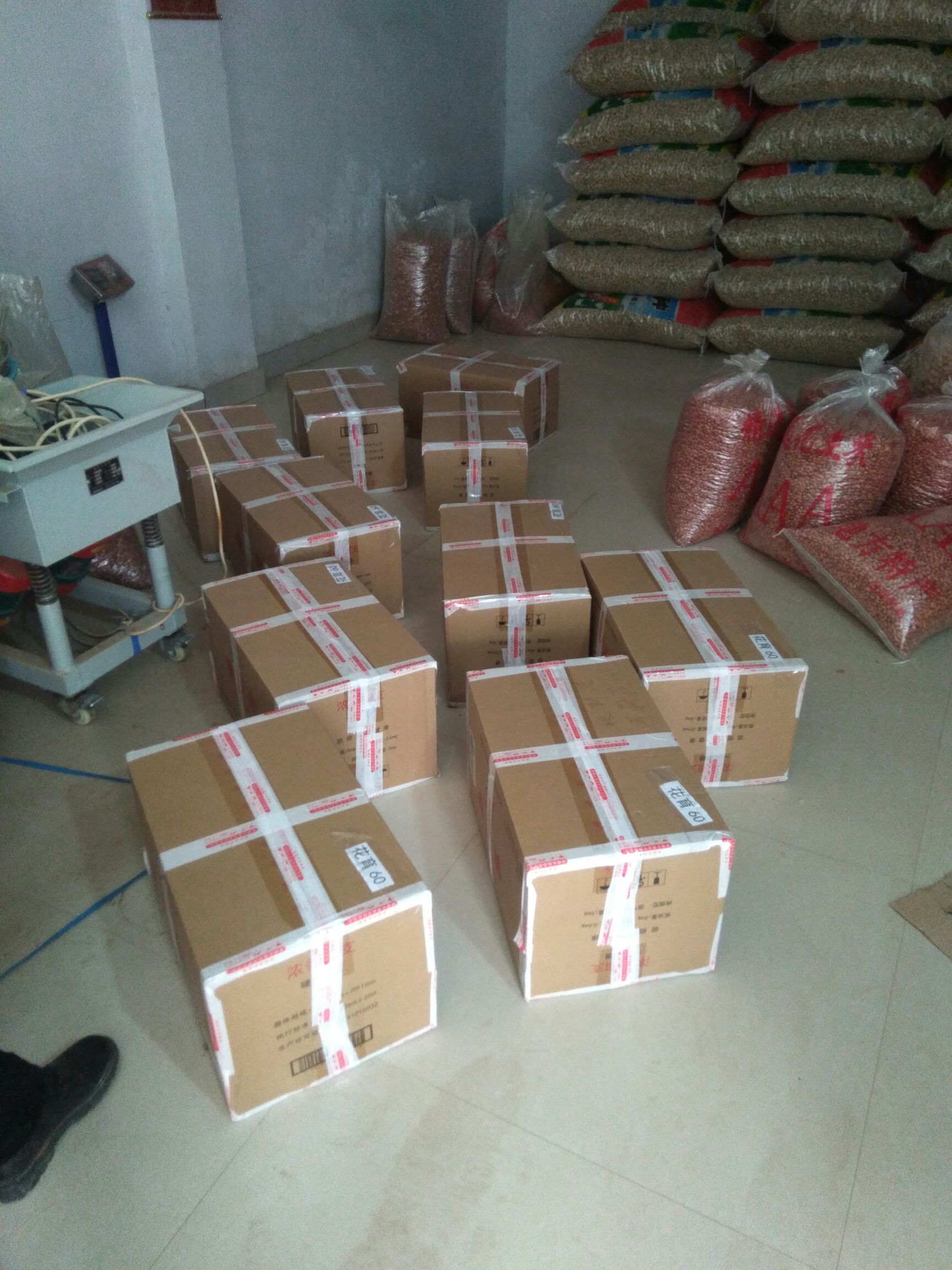 花育25花生种子  25年新花育系列种米，花育25，9616