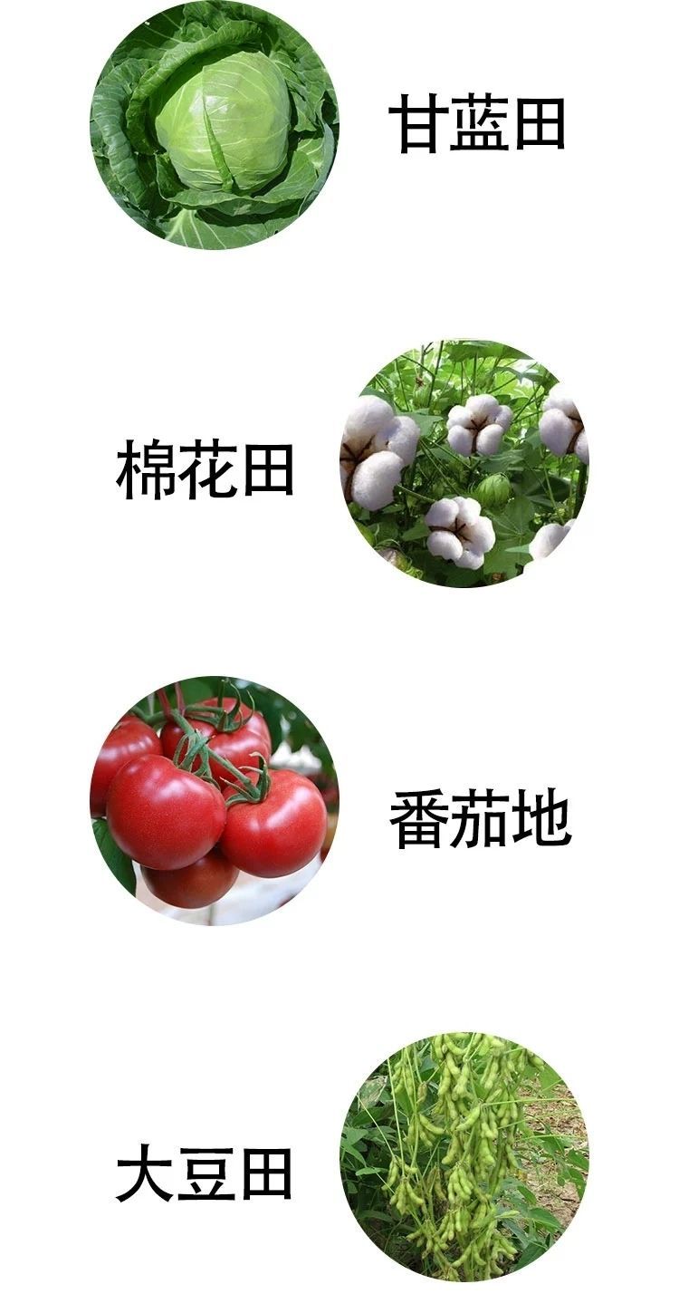 先正达金都尔 精异丙甲草胺 菜地瓜田杂草苗前封闭封地除草剂