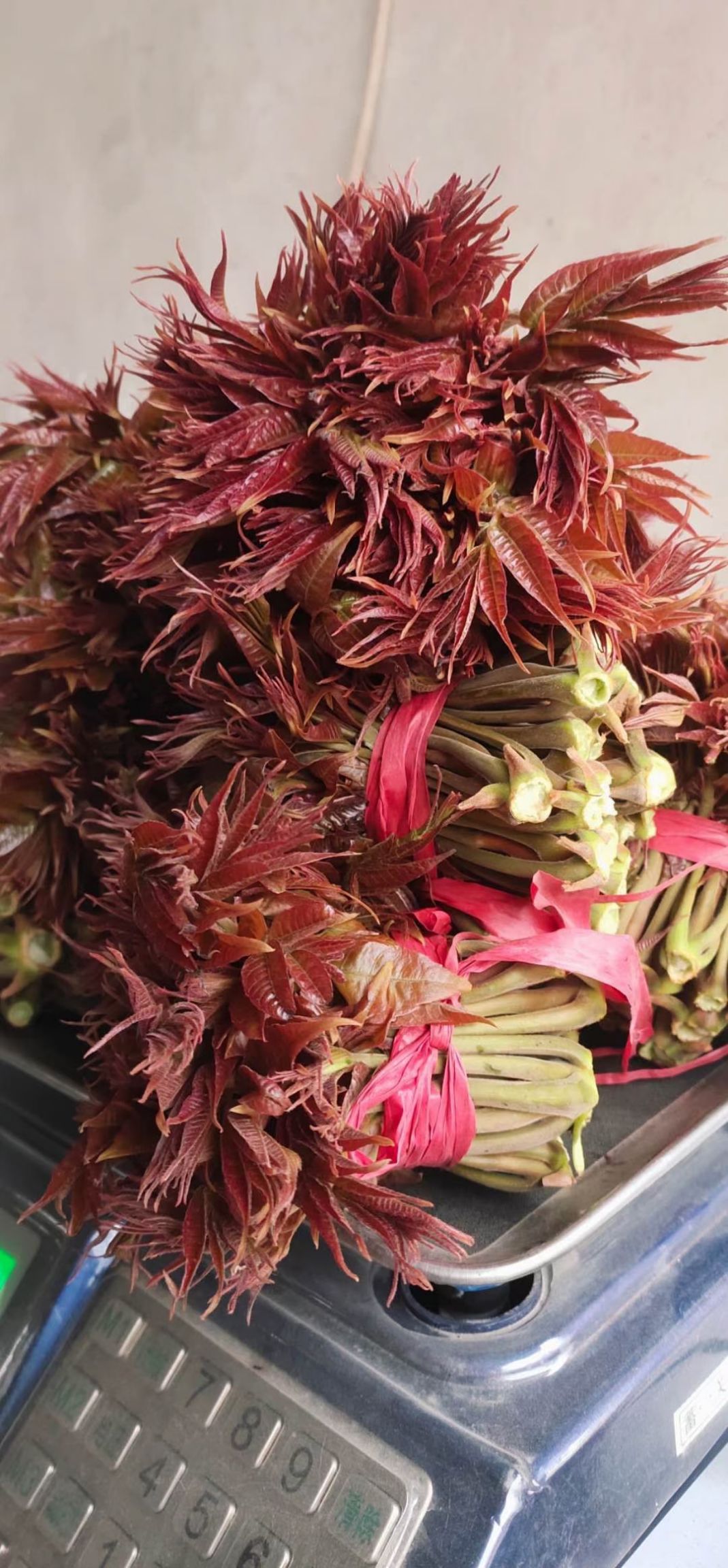 【支持一件代发】山西永济韩阳红油香椿