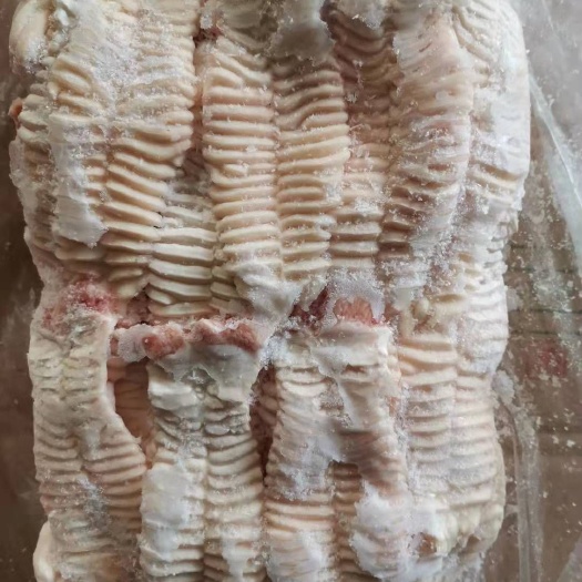 沂南县猪杂  猪天梯
