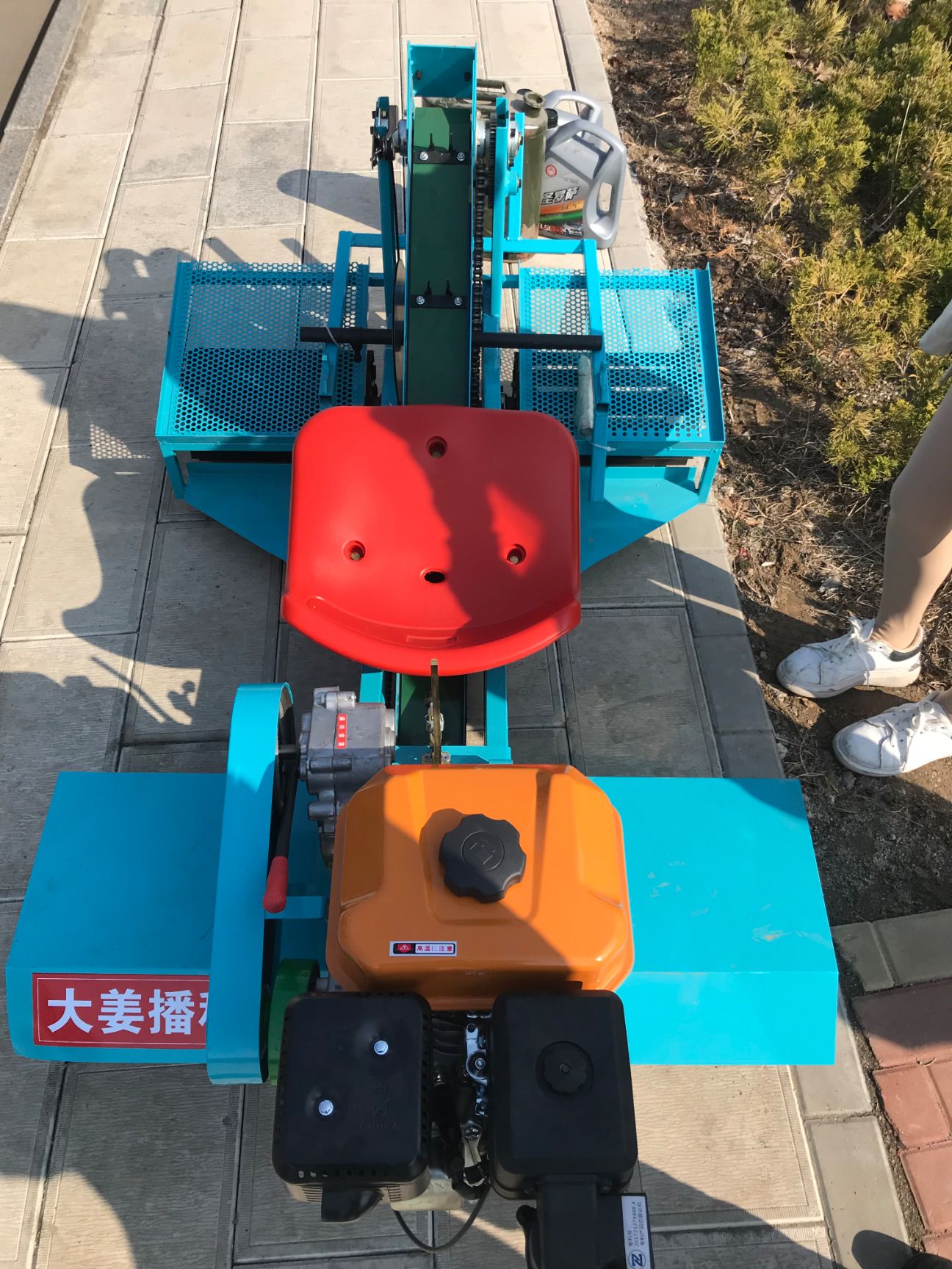 大姜播种机土豆芋头播种机乘坐自由式种距25播种均匀