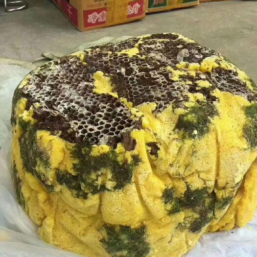 成都野蜂蜜  蜂蜜/岩蜂蜜，江湖地摊暴利产品，价格便宜，需要的老板联系