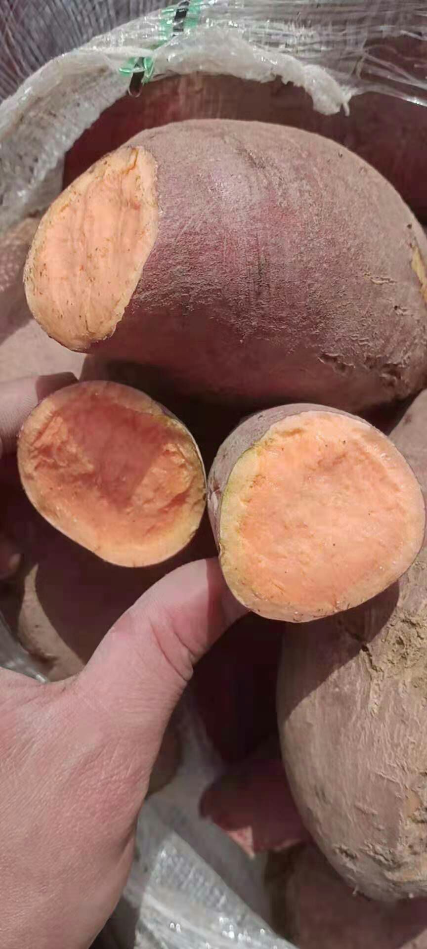 红心红薯 湖北大叶红红薯供应，供应市场，电商平台，加工厂。