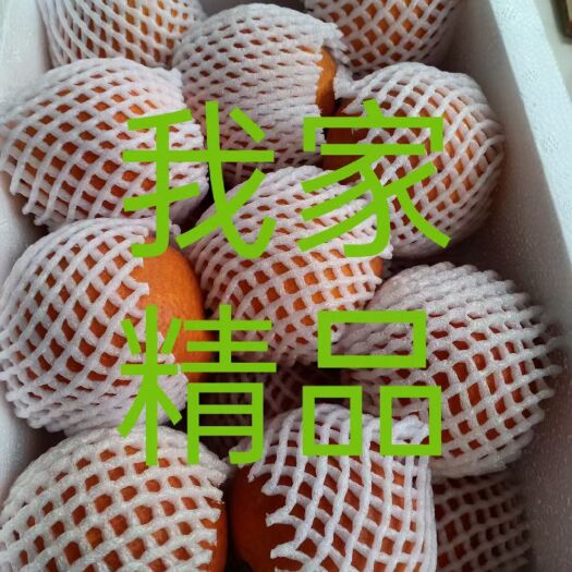 成都塔罗科血橙 绿色食品！绿色生态种植！
